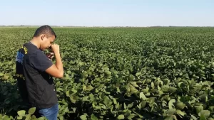 Os sojicultores do Tocantins tem um novo prazo para realizarem cadastro das ÃÂ¡reas produtoras de soja