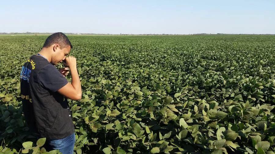 Os sojicultores do Tocantins tem um novo prazo para realizarem cadastro das ÃÂ¡reas produtoras de soja