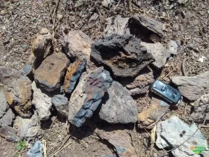 Projeto de extraÃÂ§ÃÂ£o de manganÃªs em Goianorte deve se estender atÃÂ© Colinas e Bandeirante; Jazida deve produzir milhares de toneladas