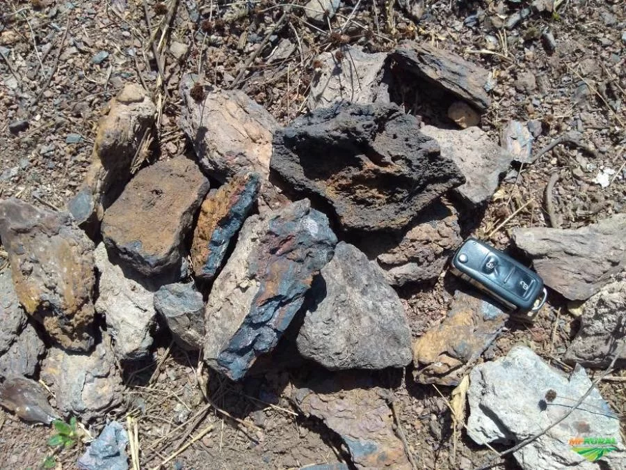 Projeto de extraÃÂ§ÃÂ£o de manganÃªs em Goianorte deve se estender atÃÂ© Colinas e Bandeirante; Jazida deve produzir milhares de toneladas