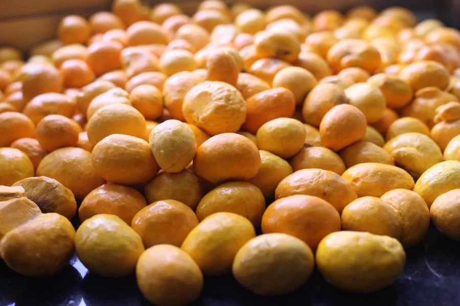 Senador do Tocantins, Eduardo Gomes entra na 'treta' e diz que Pequizeiro deve ser a Capital do Pequi