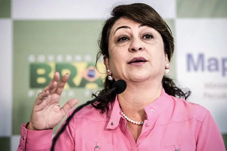 Em carta aberta ÃÂ  populaÃÂ§ÃÂ£o, KÃÂ¡tia Abreu diz que leitos estÃÂ£o todos lotados e cobra aÃÂ§ÃÂ£o do Governo, "Falta de gestÃÂ£o e caridade"