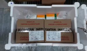 13,2 mil vacinas chegam ao Tocantins para combate ao vÃÂ­rus do Covid-19