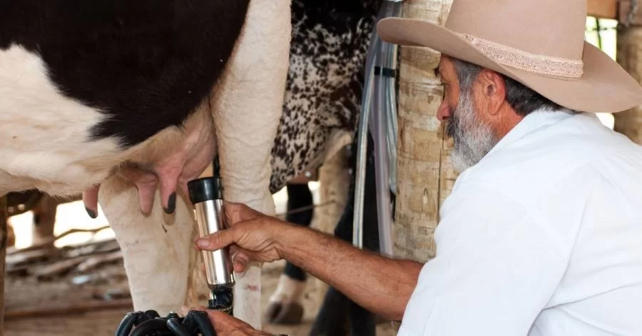 PreÃÂ§o do leite em laticÃÂ­nios na regiÃÂ£o de Colinas e AraguaÃÂ­na variam 7%