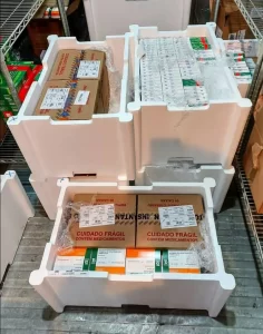 Tocantins recebe 26.600 novas doses de imunizantes contra a Covid-19