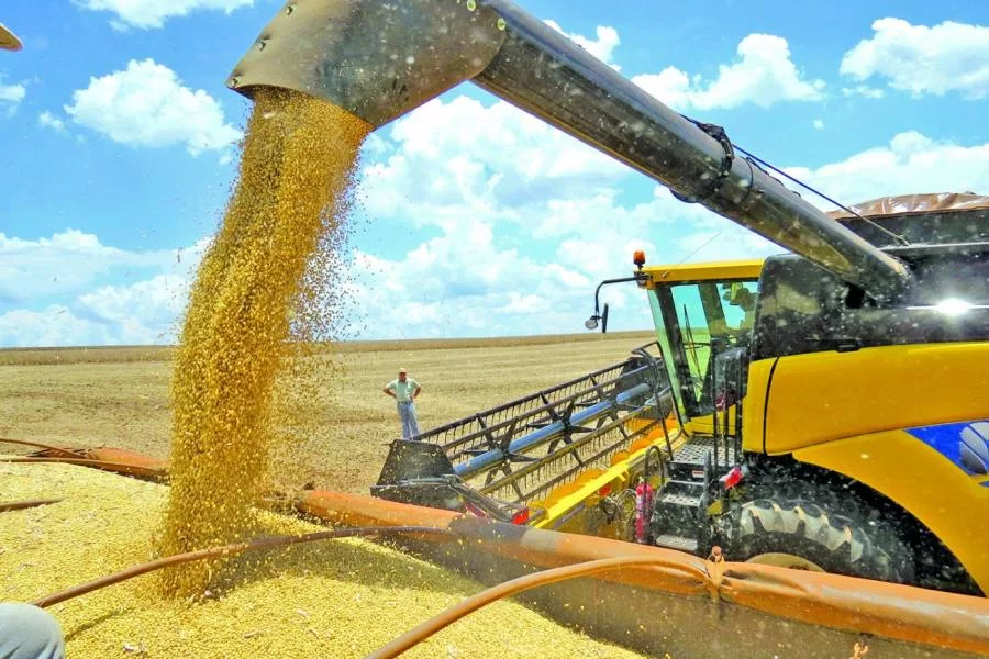 TÃÂ©cnicos da Conab vem ao Tocantins apurar andamento da safra