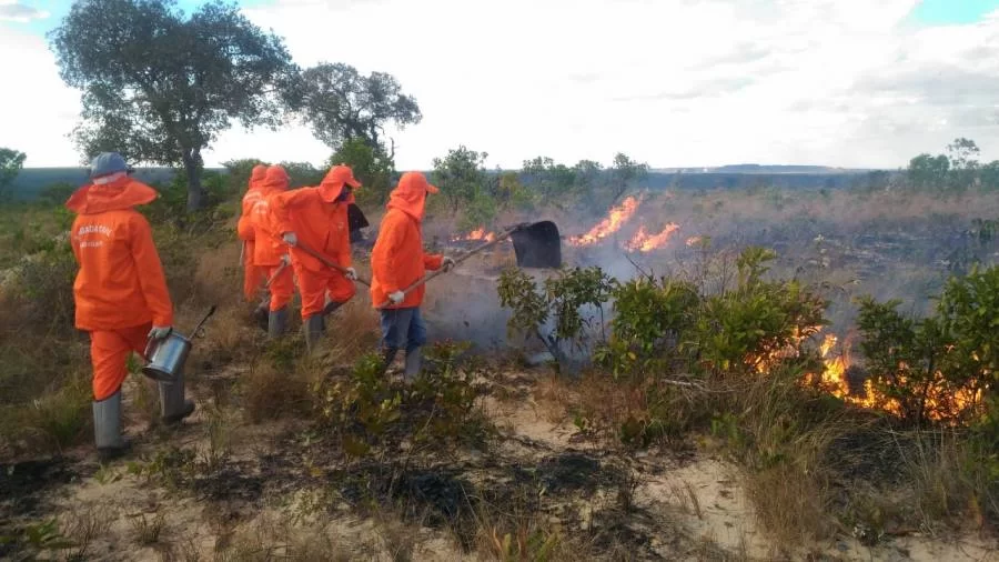 ComitÃª do Fogo realiza balanÃÂ§o parcial sobre aÃÂ§ÃÂµes de prevenÃÂ§ÃÂ£o e combate a incÃªndios no Estado