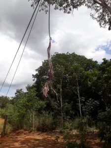 Detentos são suspeitos de realizar vandalismo em linha de telefonia na Unidade Penal de Palmas