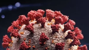 Boletim do Ministério da Saúde traz quatro casos de pacientes confirmados com a nova cepa brasileira do Covid-19 no TO