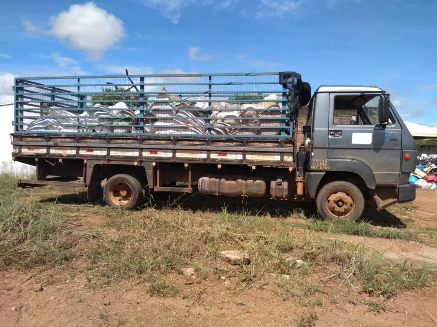 Projeto quer reciclar 2,5 toneladas de redes apreendidas na pesca predatória