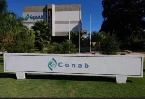 Apoio a criadores segue com leilÃÂ£o para venda direta de 170 mil t de milho nesta quinta (24)