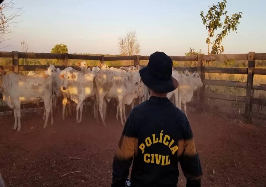 Líder de bando que atuava no furto de gado na região sul do estado é preso pela polícia