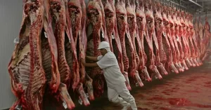 Tocantins alcança cifra de 22 mil toneladas em exportação ao exterior