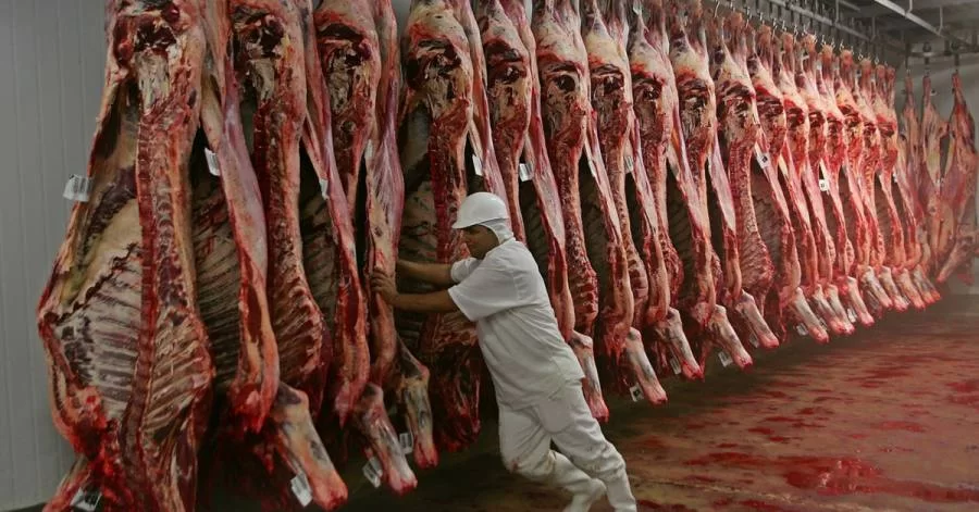 Tocantins alcança cifra de 22 mil toneladas em exportação ao exterior