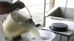 Preço do litro de leite sobe 0,12 centavos se comparado a março e abril