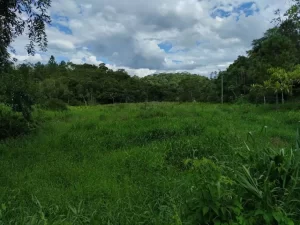 Prefeito de Colinas é acusado de desapropriar terreno rural após não ter conseguido comprar imóvel; Família acionará a justiça"