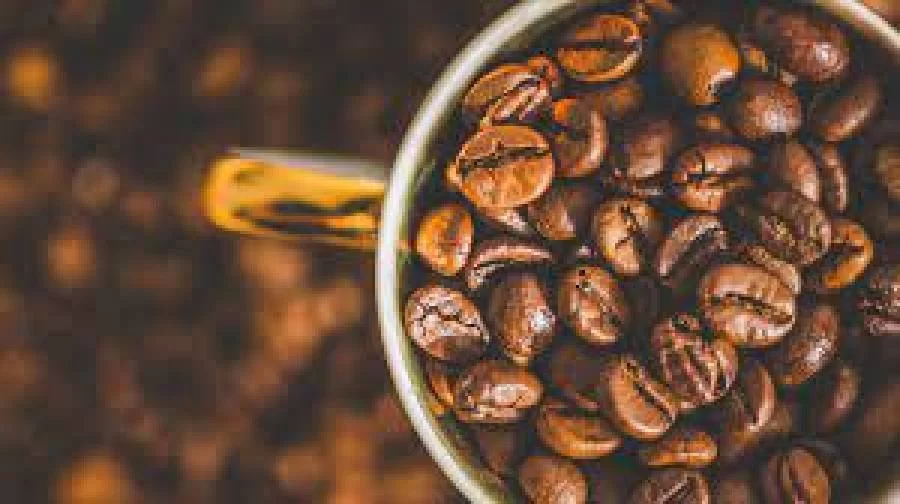 Vai um cafezinho aí? Brasileiros consumiram 21,2 milhões de sacas do produto em 2020, diz Abic
