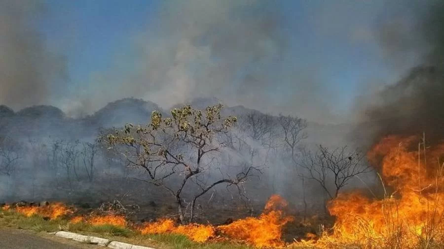 Estado do Tocantins contabiliza mais de mil focos de incÃªndios, diz INPE