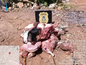 Em Arapoema: Homem é preso em flagrante por crime ambiental e recebe multa de R $3.500,00 reais