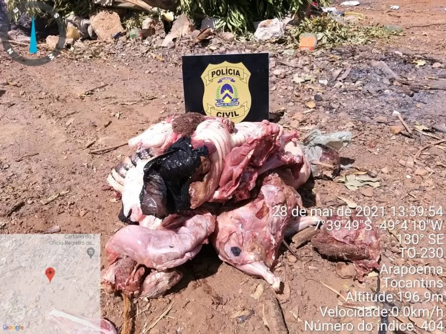 Em Arapoema: Homem é preso em flagrante por crime ambiental e recebe multa de R $3.500,00 reais