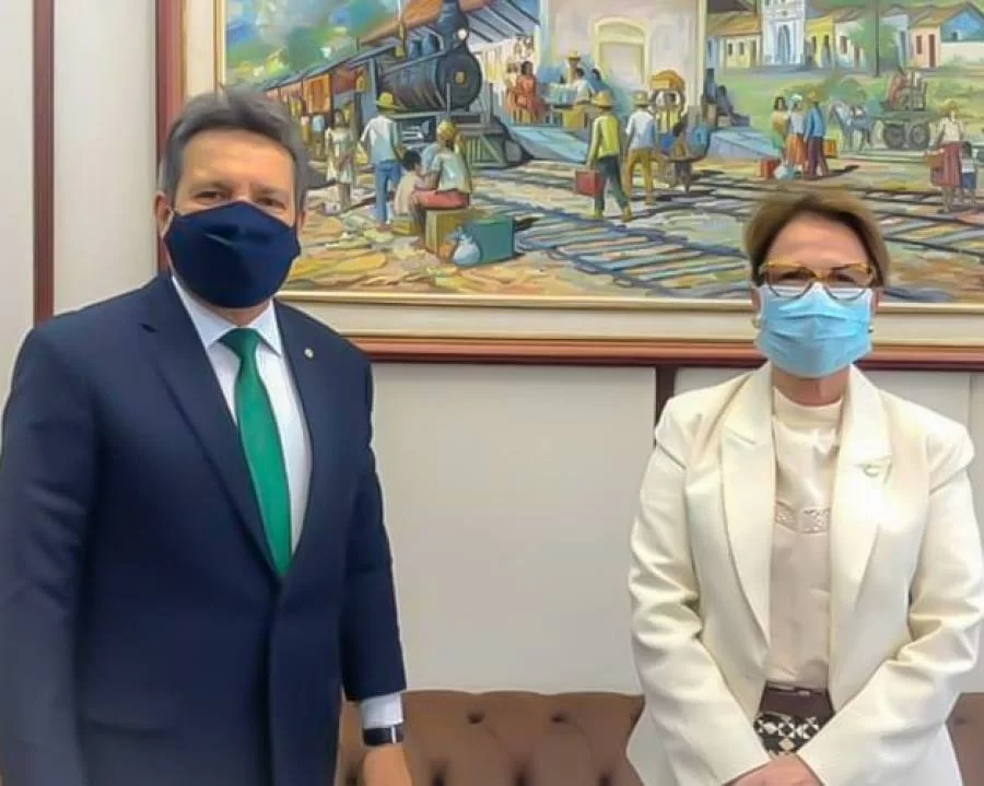 Damaso solicita Ã  ministra da Agricultura inclusão do TO em programa de conectividade no campo com sinal 5G