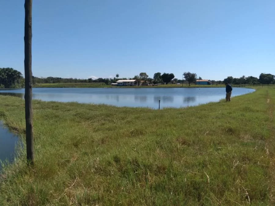 Cadeia produtiva da piscicultura de Colinas será fortalecida com apoio do Ruraltins