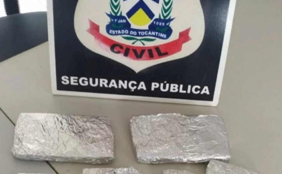 Operação da Policia Civil encontra 700 gramas escondidas em bananeiras em Palmeiras do Tocantins