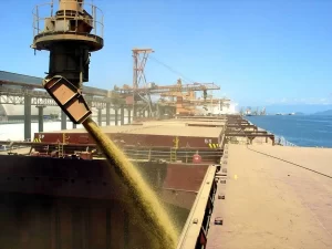 ExportaÃÂ§ÃÂ£o do milho tem evoluÃÂ§ÃÂ£o de 88% mensal e chama atenÃÂ§ÃÂ£o