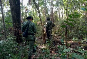 Fiscalização integrada atende denúncias de crime ambiental no Parque do Cantão