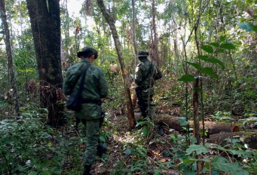 Fiscalização integrada atende denúncias de crime ambiental no Parque do Cantão
