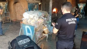 Polícia Civil cumpre 30 mandados de buscas e apreensões e faz prisões durante operação 'Narcos' nas cidades de Miracema e Araguaína