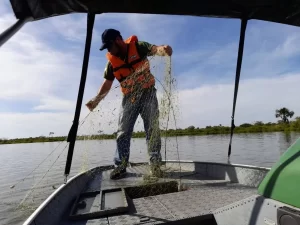 Fiscalização no Rio Tocantins apreende 2650 metros de redes em junho