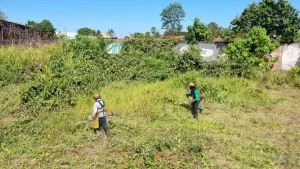 Limpeza de lotes baldios é iniciada em Araguaína e serviço será cobrado dos proprietários, diz prefeitura