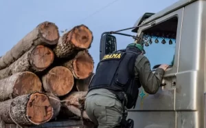 IBAMA diz ter aplicado 411 multas de crimes ambientais no Tocantins, desde 2019 a junho de 2021; Autos de infração chegaram a R$ 58,7 mi