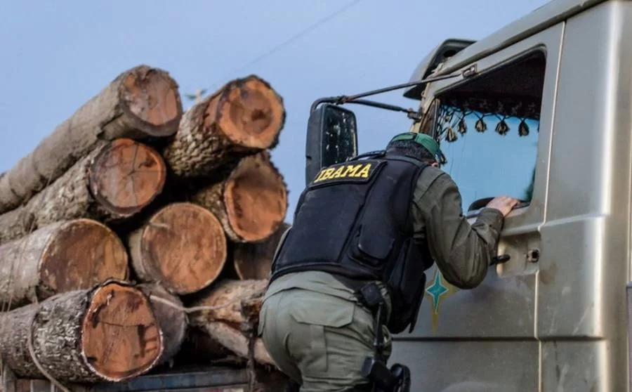 IBAMA diz ter aplicado 411 multas de crimes ambientais no Tocantins, desde 2019 a junho de 2021; Autos de infração chegaram a R$ 58,7 mi