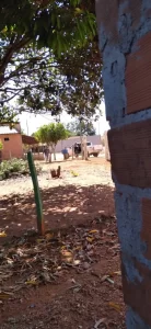 Congressista Célio Moura denúncia ameaça de grileiros de terra a comunidades Quilombolas