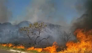 Licenças para queimadas controladas são suspensas no Tocantins