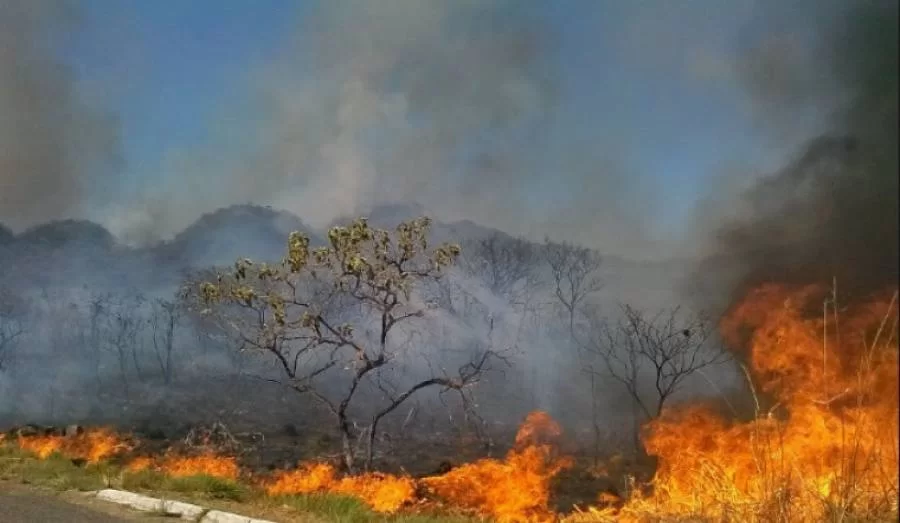 Licenças para queimadas controladas são suspensas no Tocantins