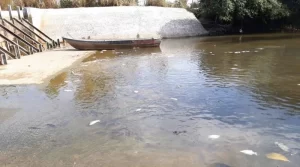 Ação pede que Naturatins  comprove destruição de barragem no rio Dueré