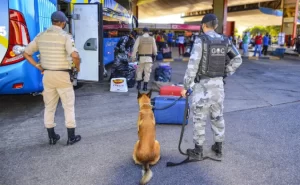 PM realiza operação contra tráfico de drogas no terminal rodoviário de Palmas
