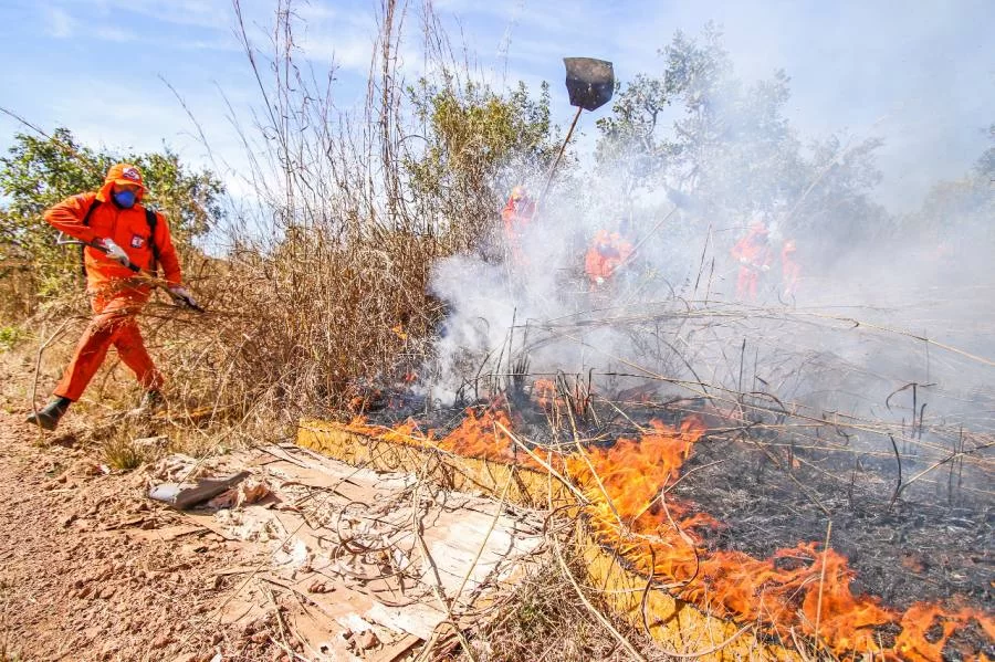 Tocantins em chamas: Dados do Instituto Nacional de Pesquisas Espaciais revelam que o Estado lidera ranking de focos de queimadas no Brasil