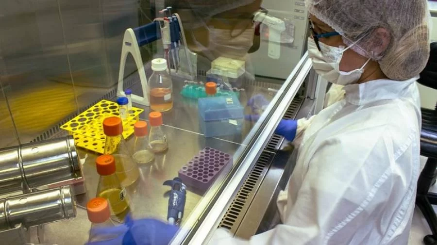 Anvisa recebe pedido para autorização de estudo de vacina da UFRJ