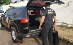 Operação "Grilos da Terra" investiga suspeito de falsificar documento de imóvel rural para conseguir financiamento de R$ 1 milhão de reais