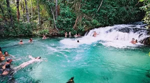 Com sessão acalorada, deputados aprovam concessão de parques