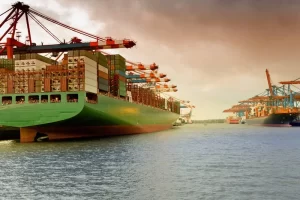 Agro é top! Brasil continua em destaque na exportação de carne e grãos para o exterior