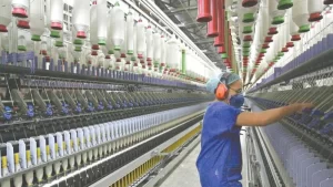 Setor de serviços tocantinense registra queda no número de empresas e alta na receita em 2019