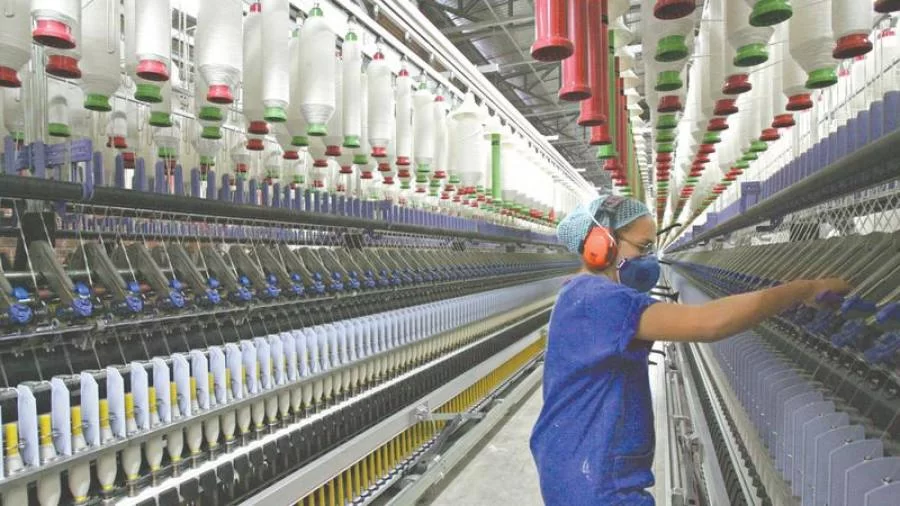 Setor de serviços tocantinense registra queda no número de empresas e alta na receita em 2019