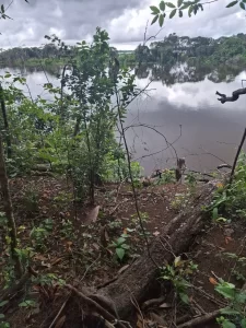 Equipes de resgate localizam draga naufragada no Lago de Babaçulândia, no Tocantins