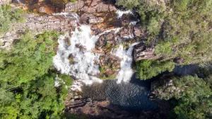 61% dos brasileiros ainda desconhecem que o Cerrado é o bioma mais desmatado do país