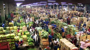 Tocantins registra alta nos preços de hortifrutigranjeiros: confira as variações e impacto para consumidores locais